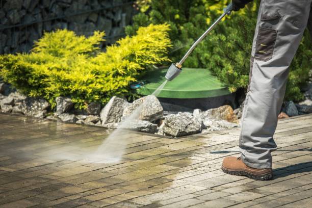 Best Gutter Cleaning and Brightening in Montrose, MN